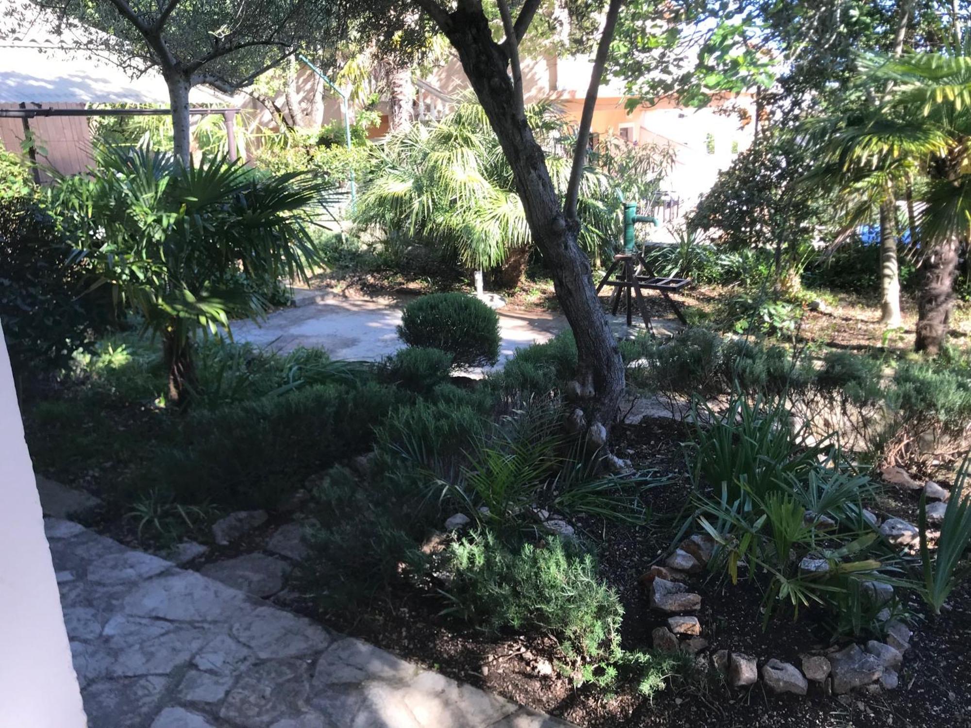 Krk Apartmani Pepina Pinezići المظهر الخارجي الصورة