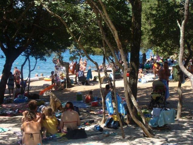 Krk Apartmani Pepina Pinezići المظهر الخارجي الصورة